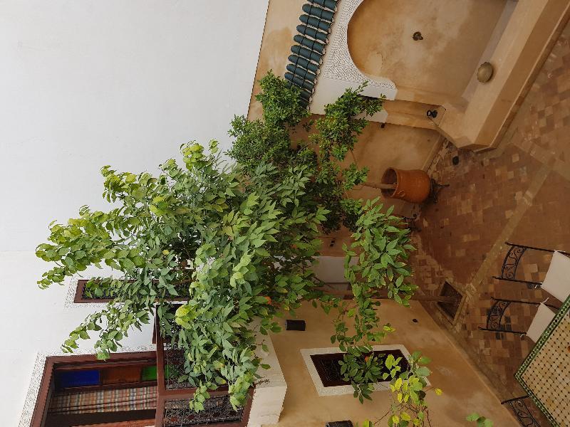 Dar Rania Hotell Marrakesh Exteriör bild
